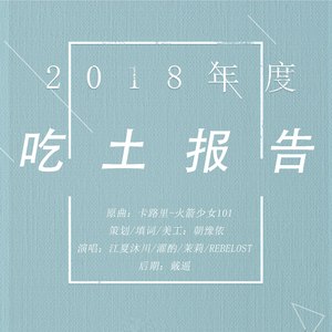 2018年度吃土报告