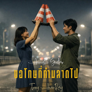 ขอโทษที่ทำพลาดไป (กีตาร์อะคูสติก)