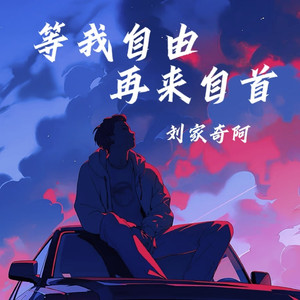 等我自由再来自首
