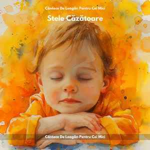 Luptă Împotriva Insomniei