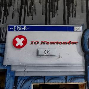10 Newtonów