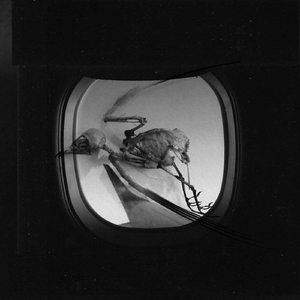 Afinal (feat. Marcelo Diniz)