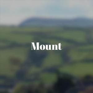 Mount