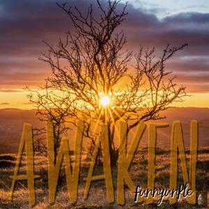 Awaken