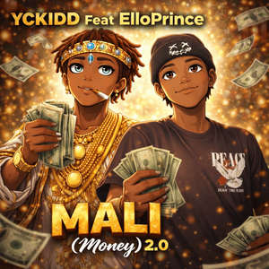 MALI (Money) 2.0