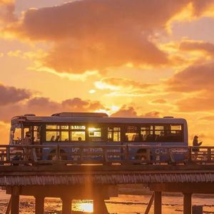 山林间的生命探索之旅