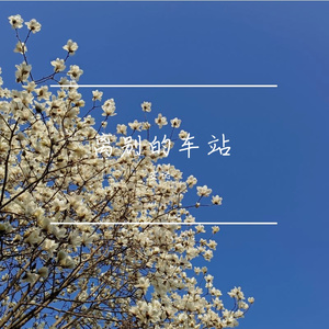 离别的车站