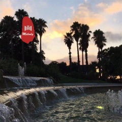 星星之火 (DJ版)