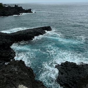 你就该葬在我这片海