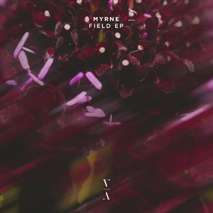 Field (Extended Mix)