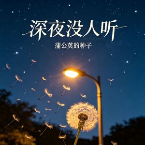 深夜没人听