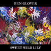 Ben Glover - Fireflies Dancing