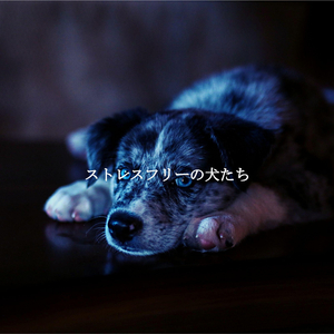 Playful (Unwinding Mode)