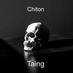 Chiton