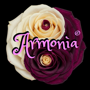 Anima Si Svela