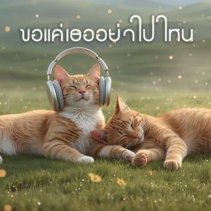 ขอเเค่เธออย่าไปไหน