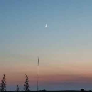 广东爱情故事1758188228296