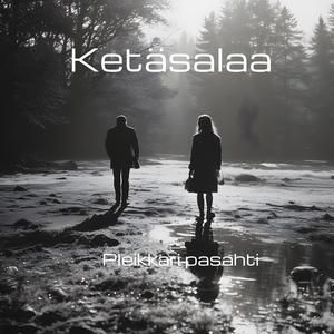 Pleikkari pasahti