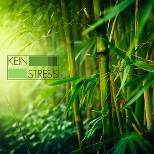 Chinesische Flötenmusik