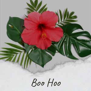 Boo Hoo