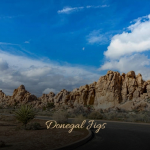 Arrividerci Sorrento