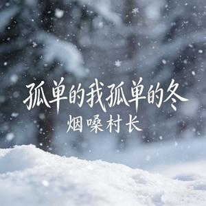 孤单的我孤单的冬