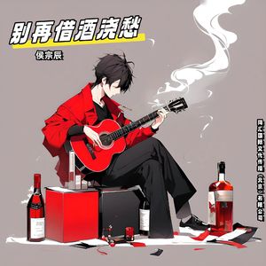 别再借酒浇愁（伴奏版）