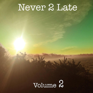 Reasons (feat. Never2late)