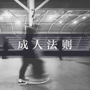 成人法则（おとなの掟）