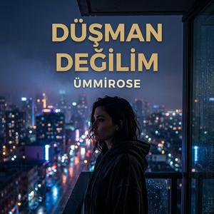Düşman değilim