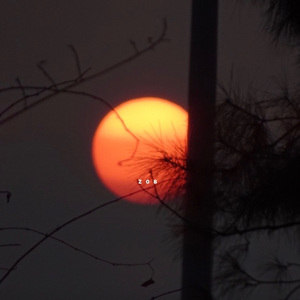 二人の人生（两个人的生活）