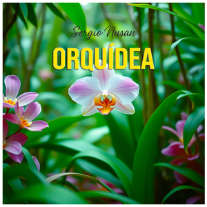 Orquídea
