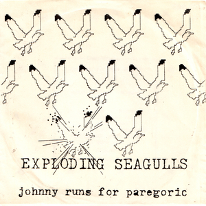 Johnny Runs For Paregoric