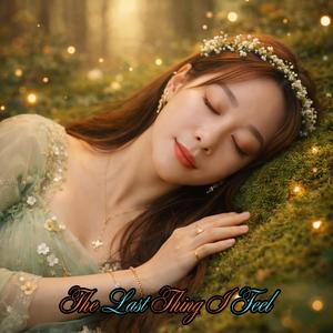 The Last Thing I Feel