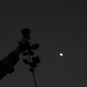 黑夜里-