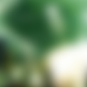 Electric Love Machine