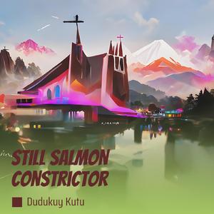 Still Salmon Constrictor