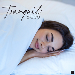 Airplane High Noises