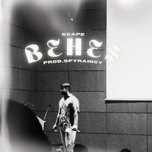 BEHES