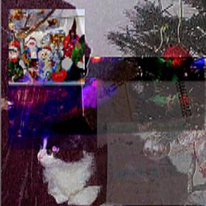 Cavalo Branco (feat. Frefre & J5CK)