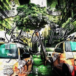 State of Fake (feat. First Cla$$)