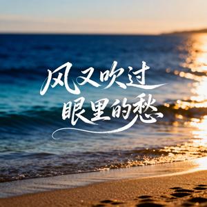 风又吹过眼里的愁（深情男声版）