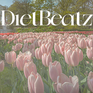 indie rock type beat “花园日记”