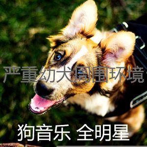 温和训练你的狗梦想