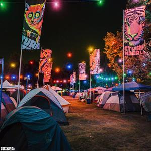 I Knew You Were Trouble.（Set remix）