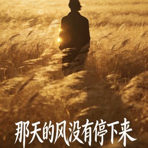 那天的风没有停下来