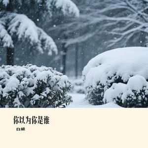 你以为你是谁 (Remix)