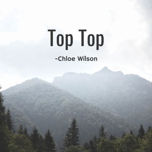 Top Top