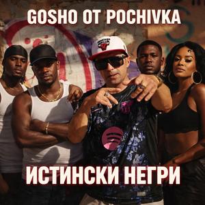 Истински Негри