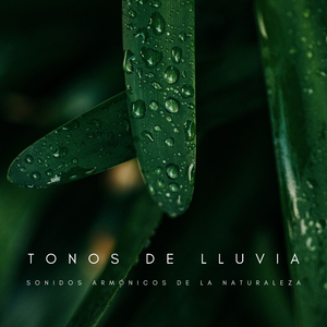 Lluvia Rejuvenecedora